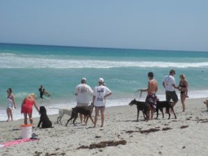 Walton Rocks Beach Port St. Lucie FL